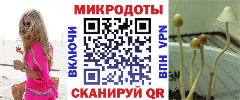 как найти Ворсма маркетплейс официальный сайт Псилоцибиновые грибы Magic Shrooms